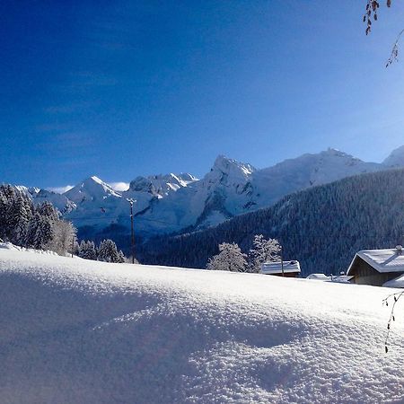 Chalet La Vigogne Et Spa Le Grand-Bornand Exterior foto